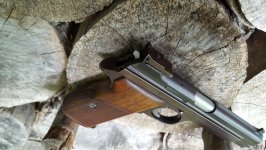 Sig P210-6