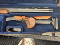 Blaser f3 ergosign