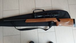 Anschutz 1913 BR50 Bechrest