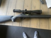 Te koop Ruger 10/22