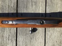 Dragoon Mosin Nagant
