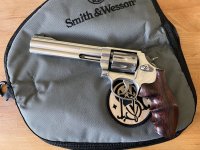 Smith en Wesson 617 10 shots