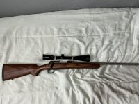 Winchester “coyote”