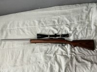 Winchester “coyote”