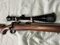 Winchester “coyote”