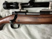 Winchester “coyote”