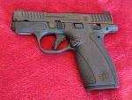 S&W bodyguard 2.0
