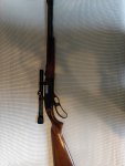 Winchester 250