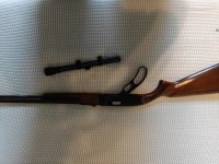 Winchester 250