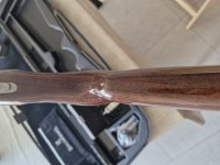 Browning B725 Sporter
