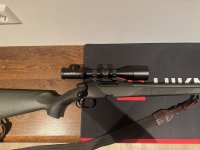 Steyer .308 super seafty bold