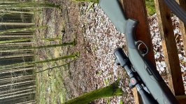 Steyer .308 super seafty bold
