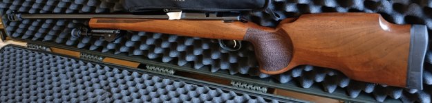 CZ 557varmint .308