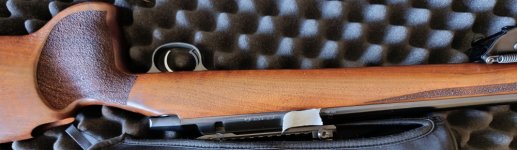 CZ 557varmint .308