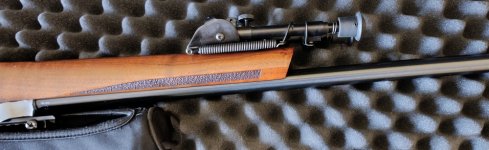 CZ 557varmint .308