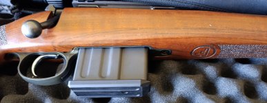 CZ 557varmint .308