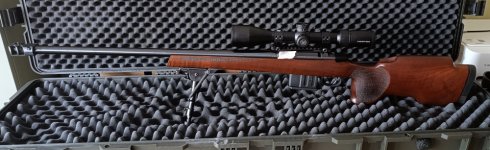 CZ 557varmint .308