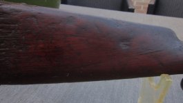 Winchesterv 1873 saddle ring carabine 38wcf