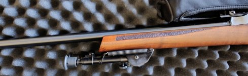 CZ 557 .308 varmint