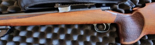 CZ 557 .308 varmint