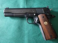 Colt Ace