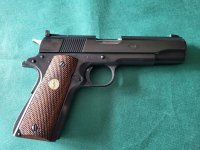Colt Ace