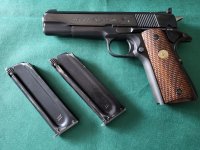 Colt Ace