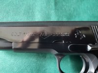 Colt Ace