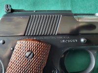 Colt Ace