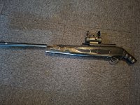 Hatsan Carnivore .30