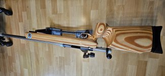 EHS enkelschots kogelgewricht in .308