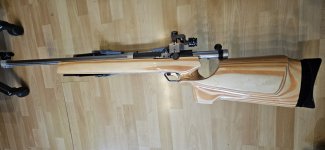 EHS enkelschots kogelgewricht in .308