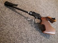 Pardini K22 Enkelschots (vrij)pistool