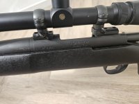 Remington police .223