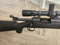 Remington police .223