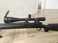 Remington police .223