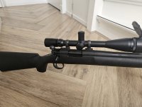 Remington police .223