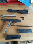 CZ Luvo TT22