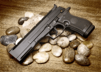 Beretta 87 target .22
