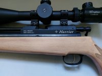 Daystate Harrier 5.5