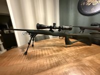Cz 600 ergo .223