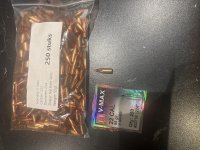 Hornady v max 55 grain