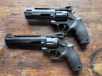 Taurus Raging Hunter
