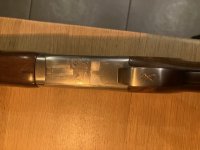 browning gts met wisselchokes