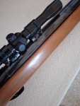 Bsa airsport 5.5 mm