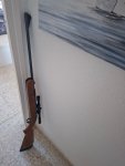 Bsa airsport 5.5 mm