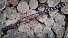Beretta 694 Sporting (TSK Kolf)