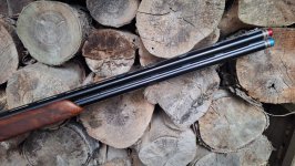 Beretta 694 Sporting (TSK Kolf)