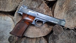 Smith & Wesson Model 41